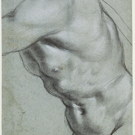The Carracci Drawings